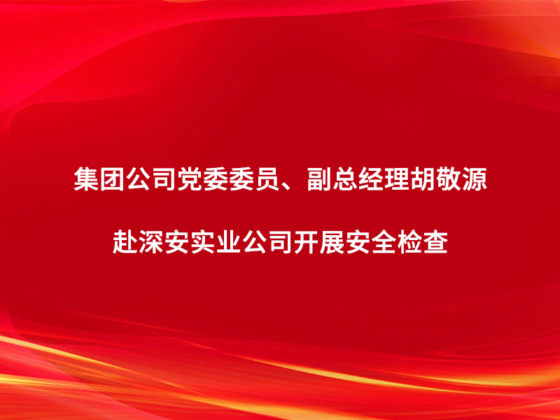 集團(tuán)公司黨委委員、副總經(jīng)理胡敬源赴深...
